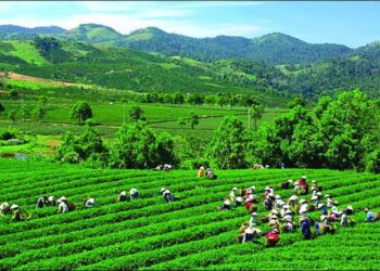 10+ Lợi Ích Của Dịch Vụ SEO Tại Thái Nguyên Mà Doanh Nghiệp Không Thể Bỏ Qua
