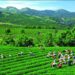 10+ Lợi Ích Của Dịch Vụ SEO Tại Thái Nguyên Mà Doanh Nghiệp Không Thể Bỏ Qua