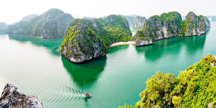 Tại sao dịch vụ SEO tại Quảng Ninh là xu hướng của tương lai?