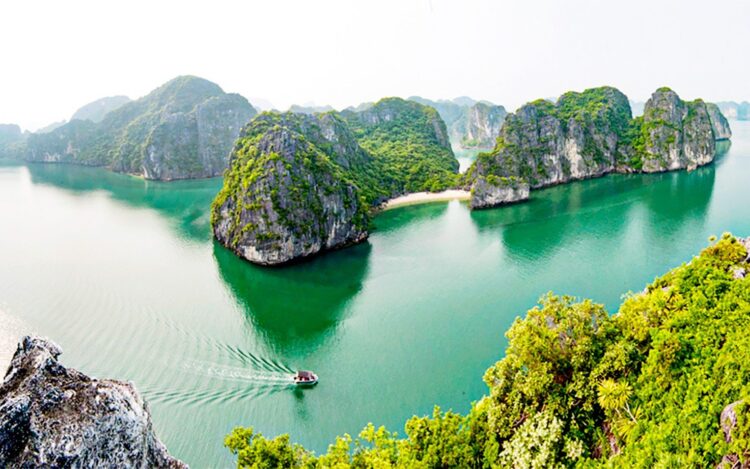 Photo Tại sao dịch vụ SEO tại Quảng Ninh là xu hướng của tương lai? 2