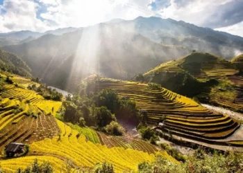 10+ Lợi Ích Dịch Vụ SEO Yên Bái Mang Lại Cho Doanh Nghiệp