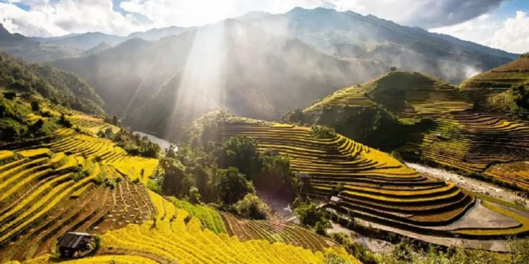 Photo 10+ Lợi Ích Dịch Vụ SEO Yên Bái Mang Lại Cho Doanh Nghiệp 1 10+ Lợi Ích Dịch Vụ SEO Yên Bái Mang Lại Cho Doanh Nghiệp
