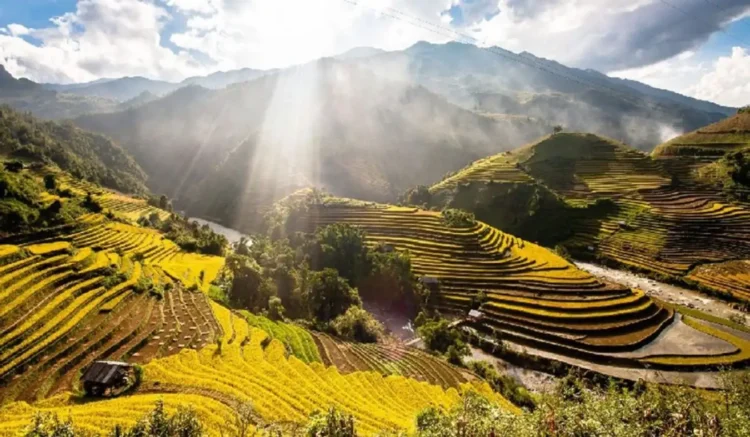 Photo 10+ Lợi Ích Dịch Vụ SEO Yên Bái Mang Lại Cho Doanh Nghiệp 3
